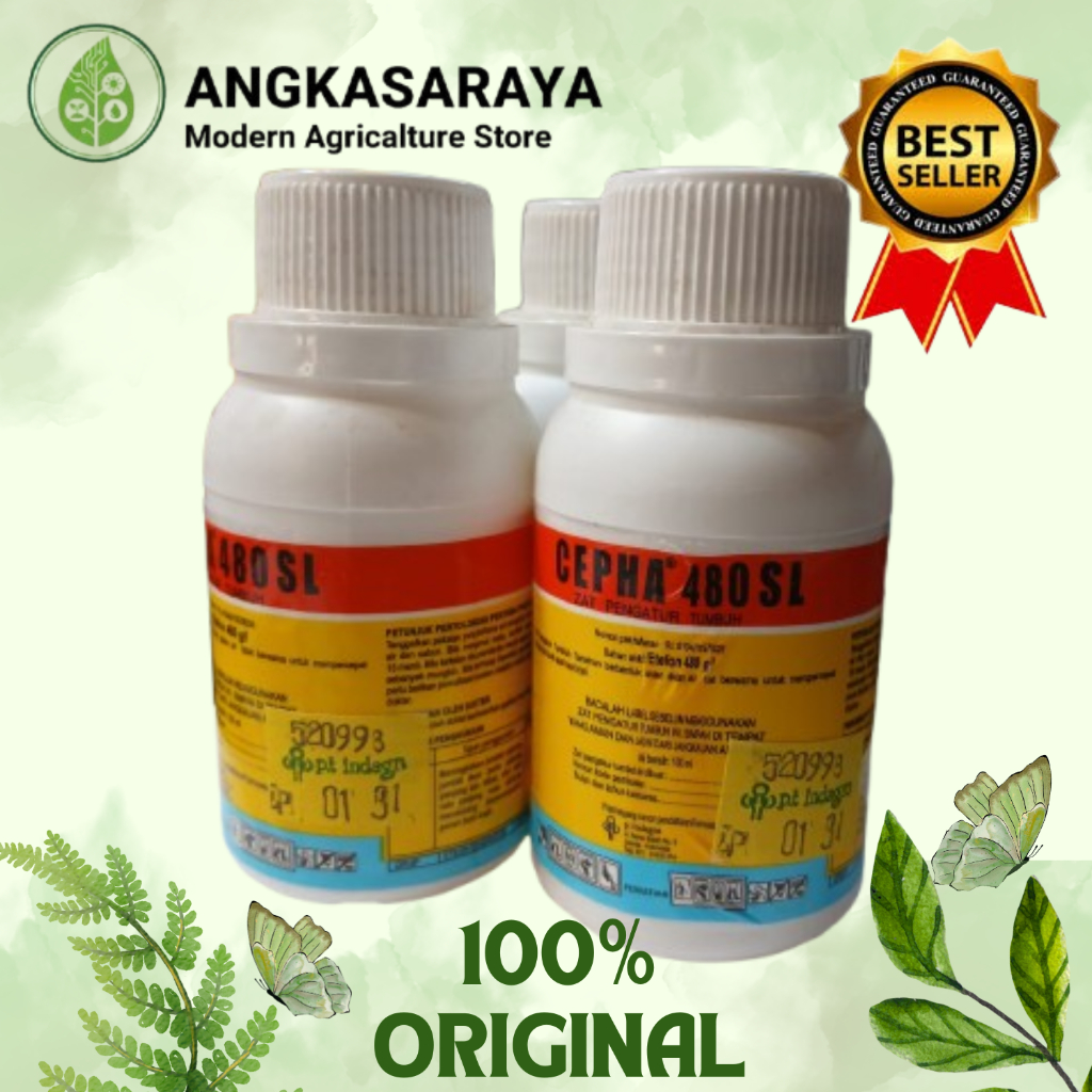 Cepha 480 SL - 100 ml (ZPT) Mempercepat Masaknya cabe,pisang Buah Apel dan Kopi