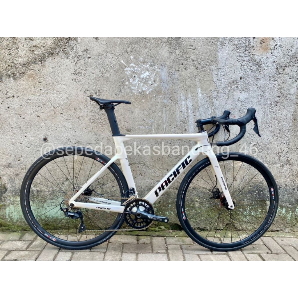 Roadbike Pacific Primum 5.5 Carbon