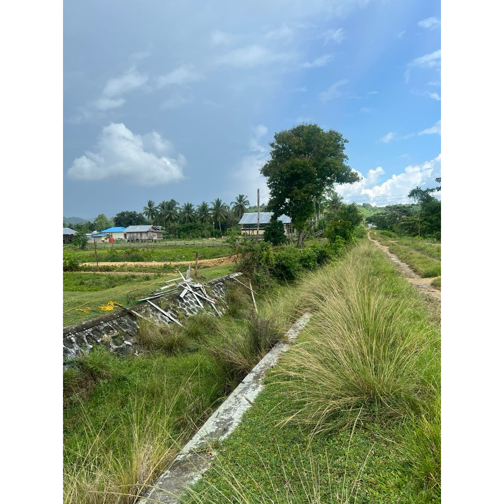 tanah kavling jayapura