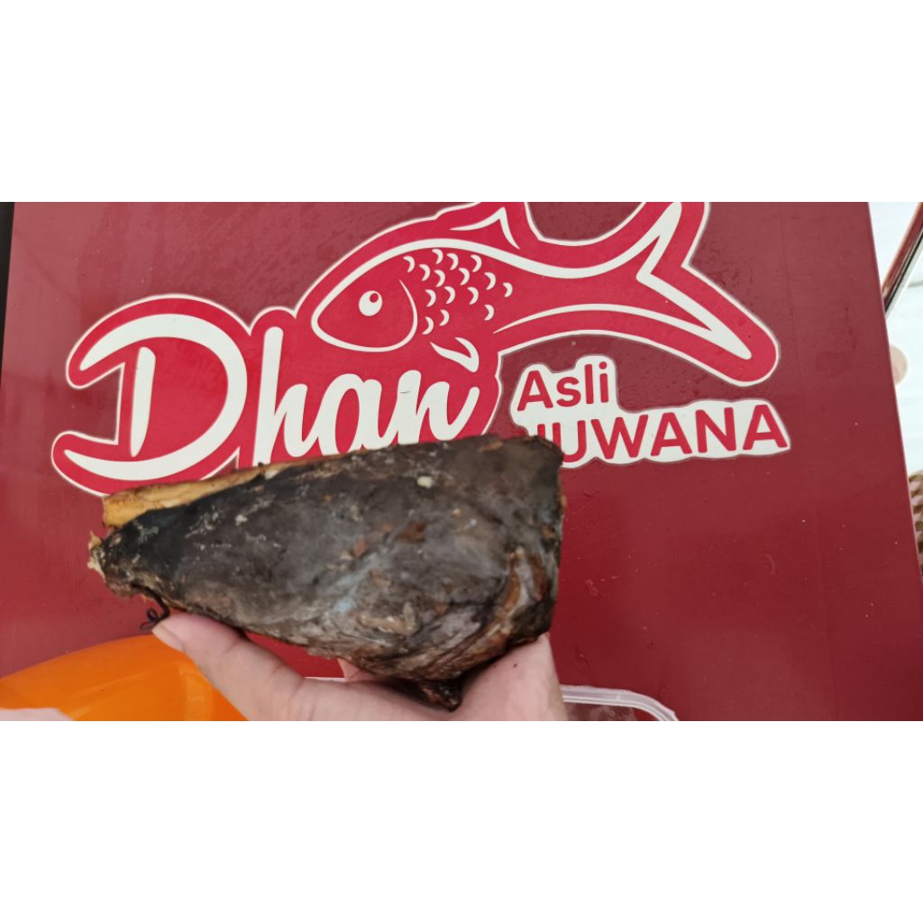 TAHAN 7 HARI/KEPALA MANYUNG ASAP VACUM/NDAS MANYUNG ASAP VACUUM/Berat krg lebih 200g