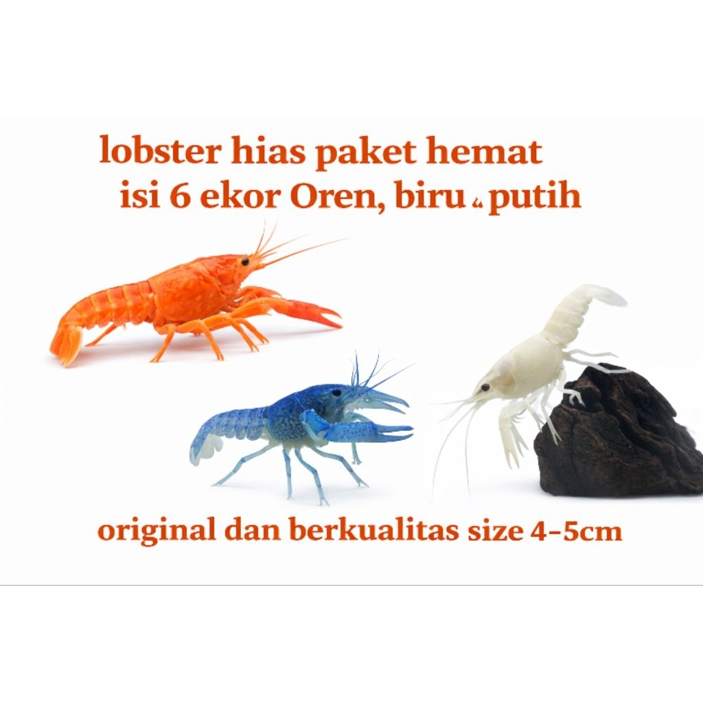 Lobster Paket 6 Ekor Blue, Orange dan White Hiasan Aquarium Dan Aquascape