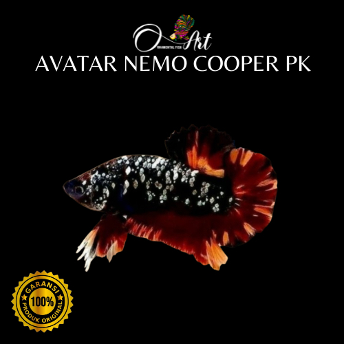 Avatar Nemo Cooper Size M Hiasan Dekorasi Aquascape
