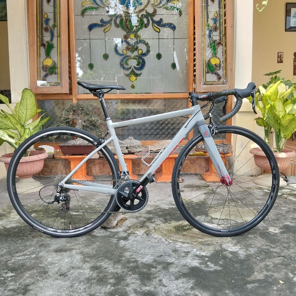 Roadbike Element Curved 2022