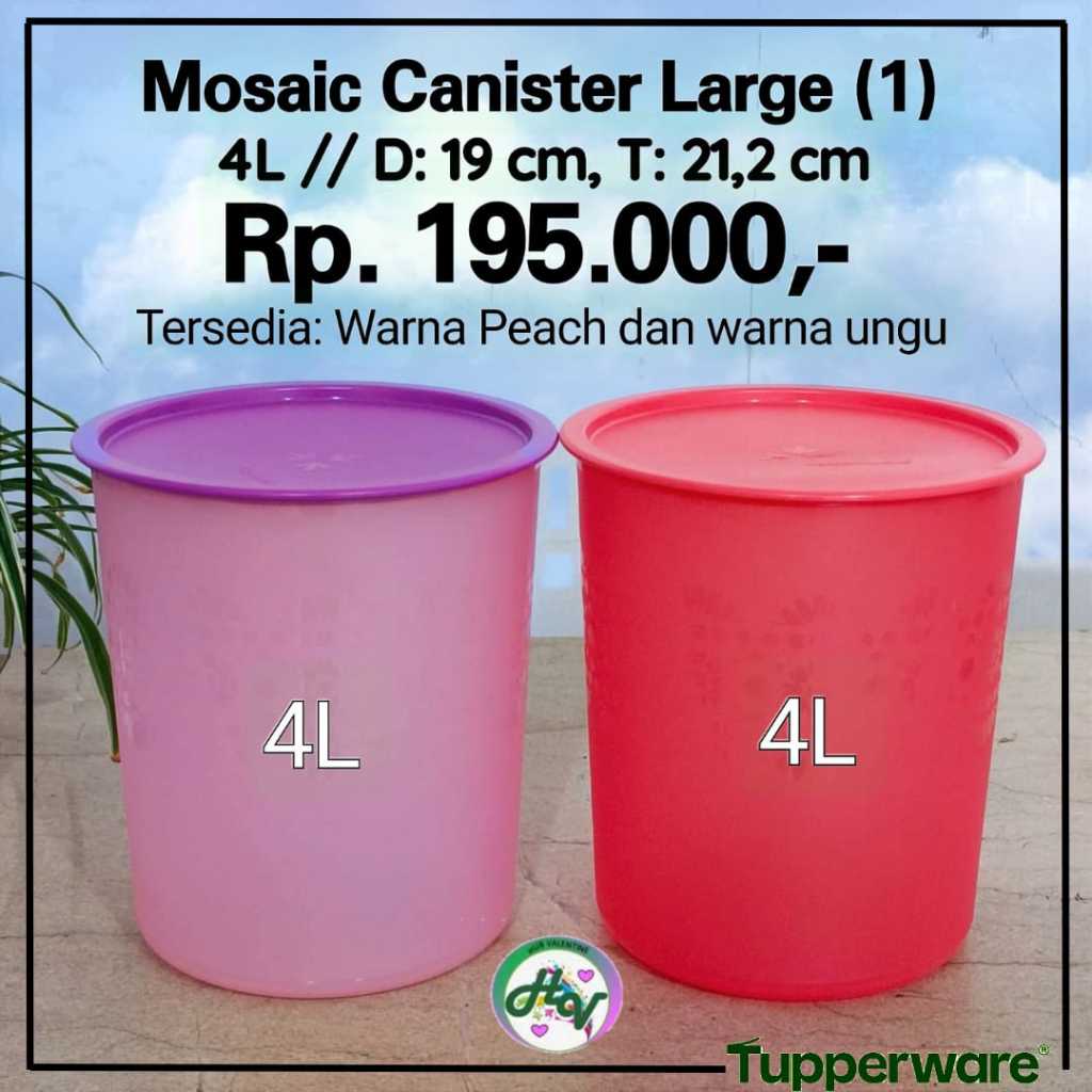 Mosaic Canister Large (1) Tupperware