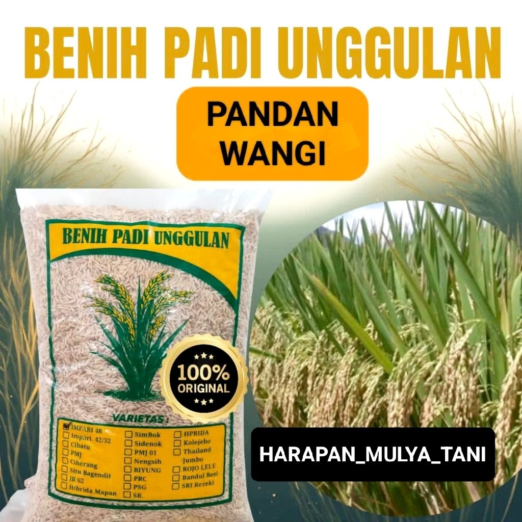 Bibit Padi Pandan wangi kualitas super kemasan 5kg