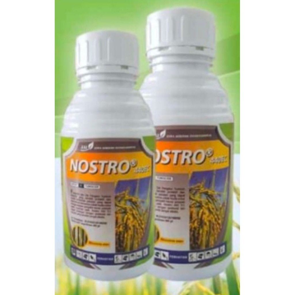 Fungisida Nostro + ZPT