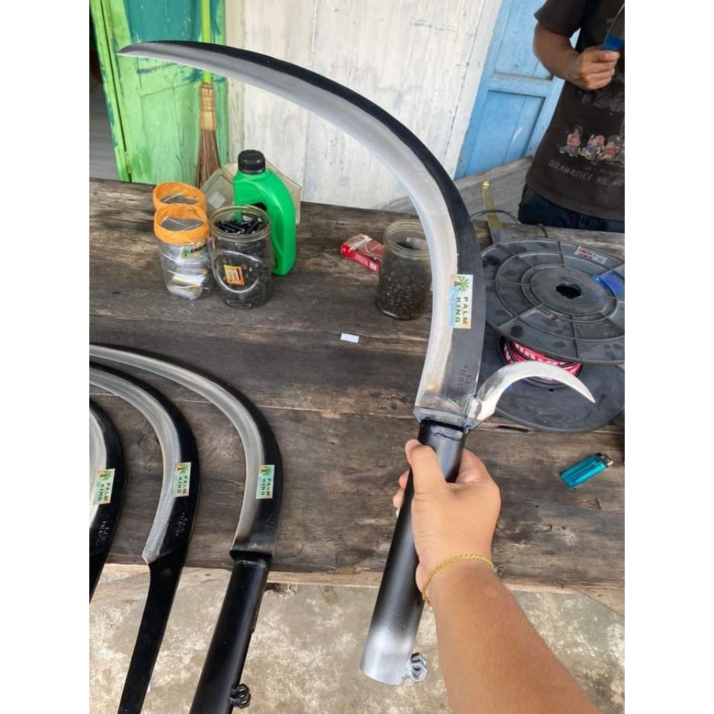 kls palmking egrek