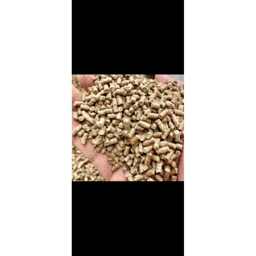 pur babi pakan ayam dewasa.