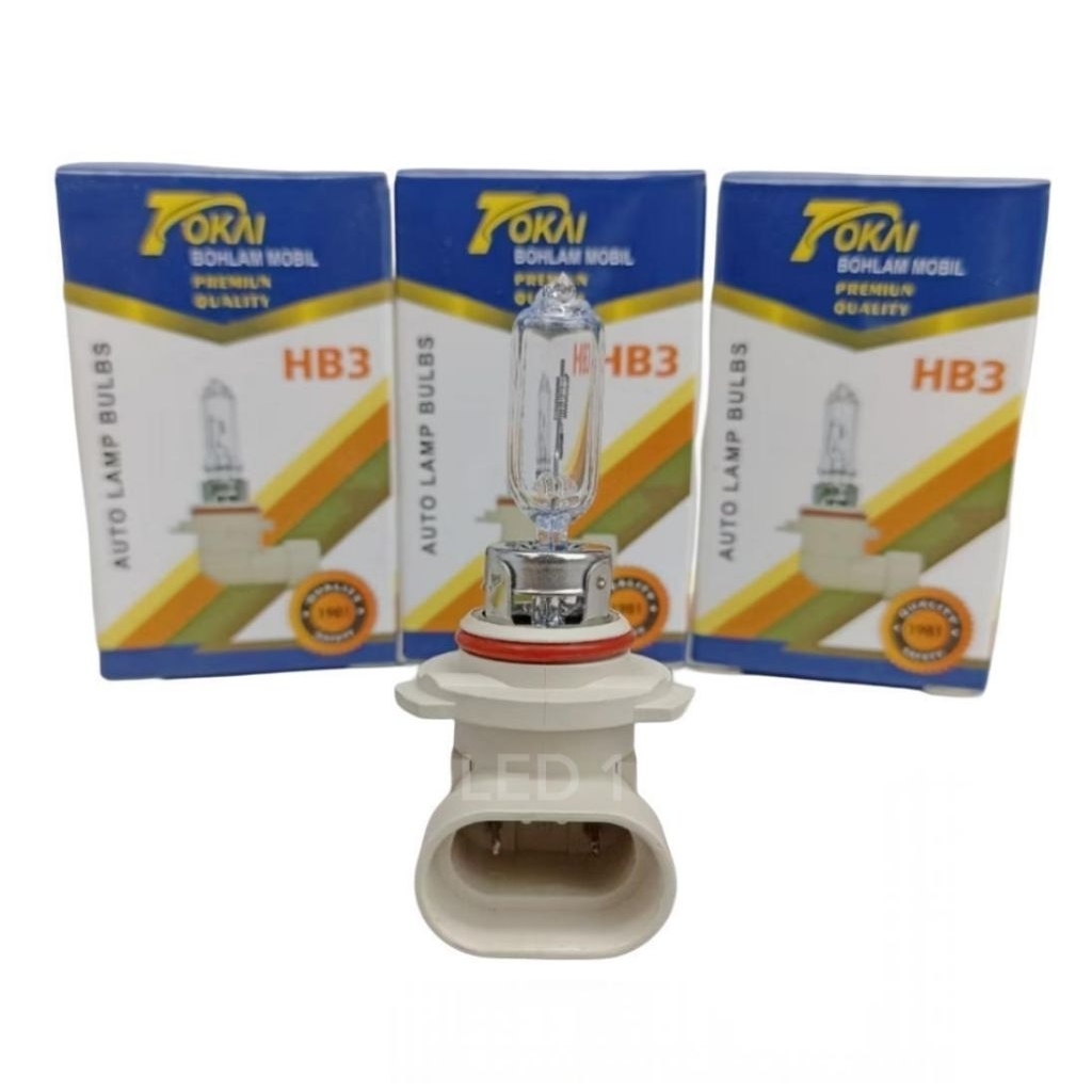 Bohlam Lampu Dop Halogen Mobil Motor HB3 12 Volt Tokai