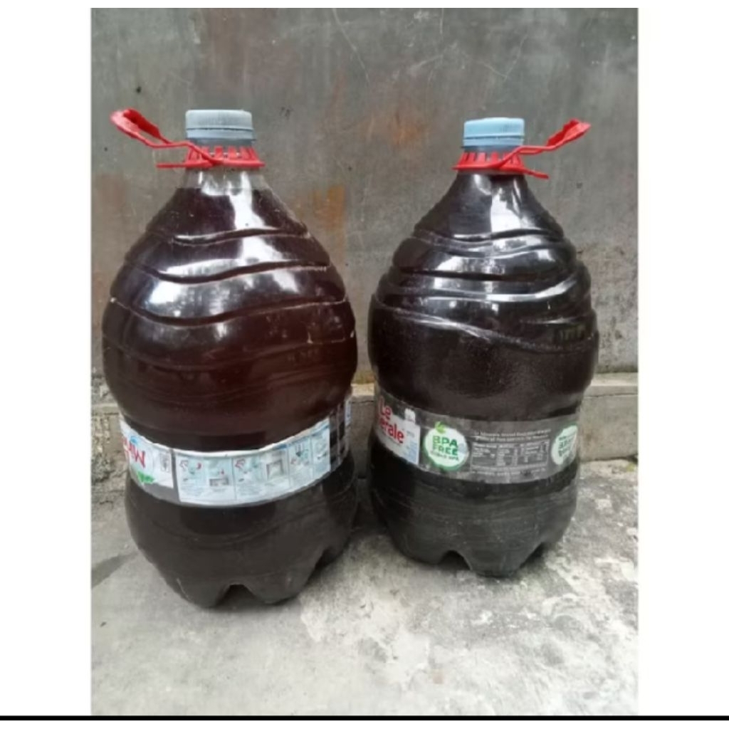 urine kelinci POC murni 15L