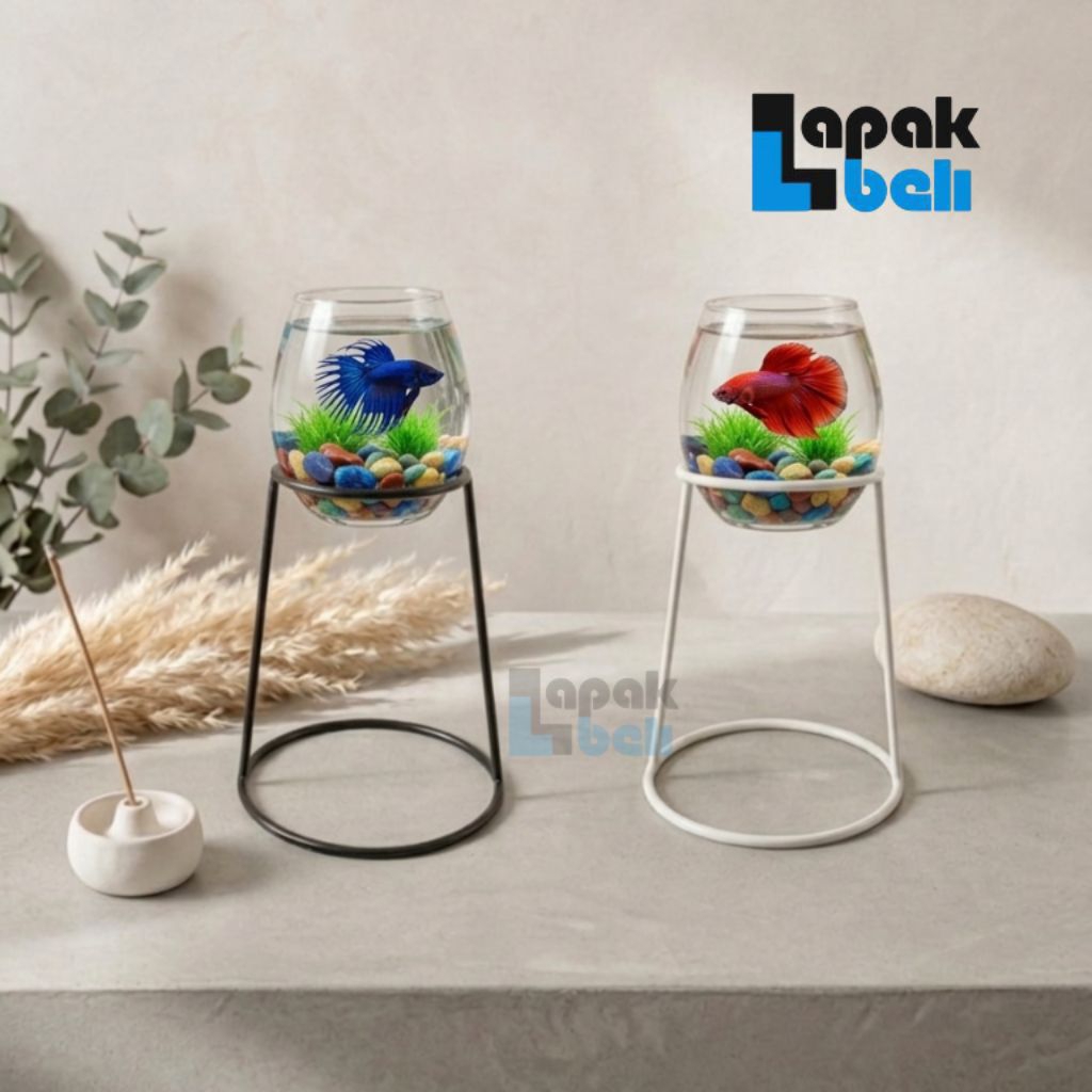 Akuarium Aquarium Mini Cupang dan Asesoris full set / Bisa untuk aquascape ( COD BAYAR DITEMPAT )