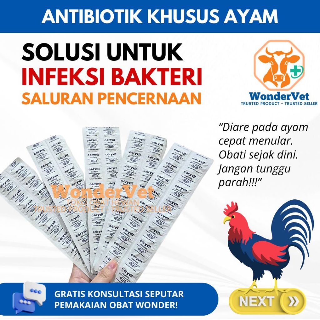 CORYVIT CAPSUL - obat diare ayam burung unggas