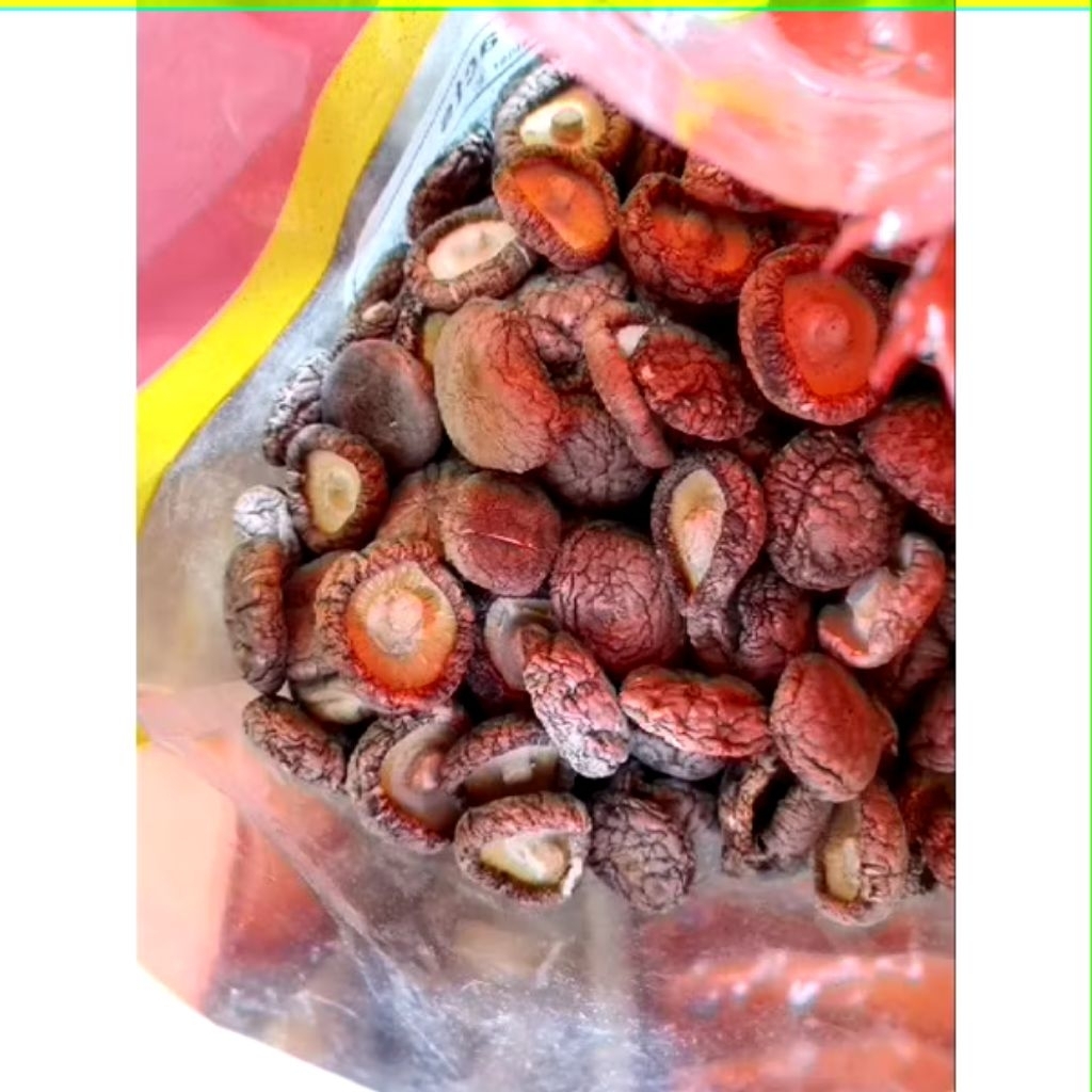 Jamur Shitake Kering Jamur Hioko Hiuko