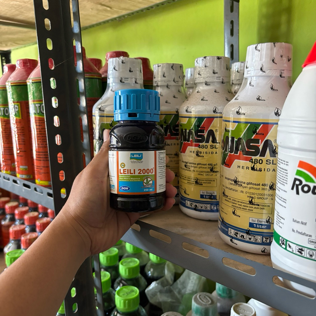 Pupuk Perangsang Anakan Padi Leili 2000 250 ml – Hormon Tanaman untuk Memperbanyak Tunas dan Meningk