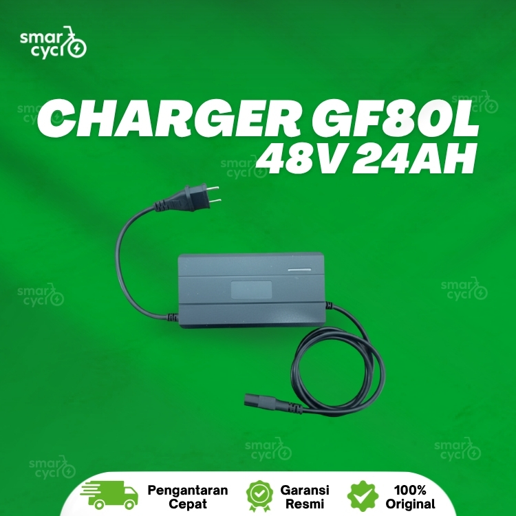 Charger sepeda listrik tailg gf80l