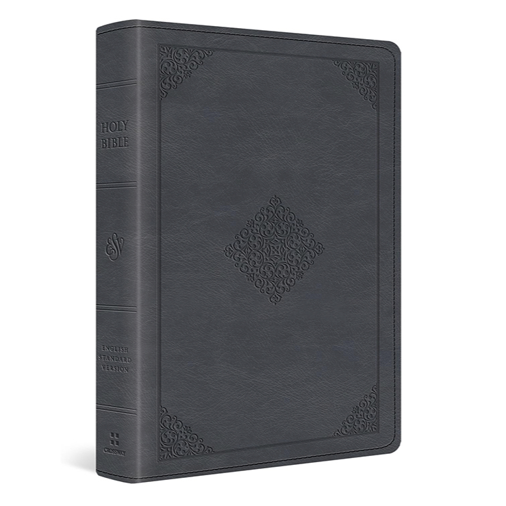 ESV Large Print Wide Margin Bible