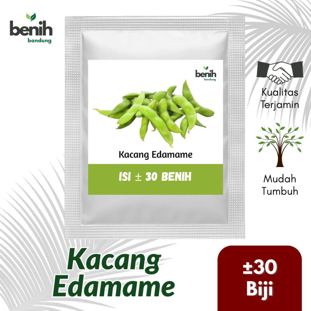 Bibit Edamame Ryoko Benih Kacang Jepang 30 Biji Unggul