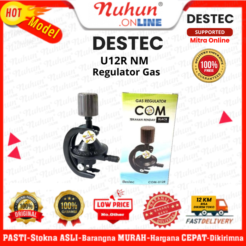 Destec Regulator U12R Meter