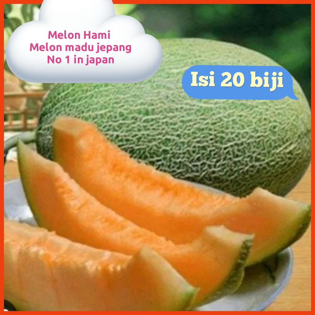 20 Benih Melon Hami Jepang Benih Pilihan