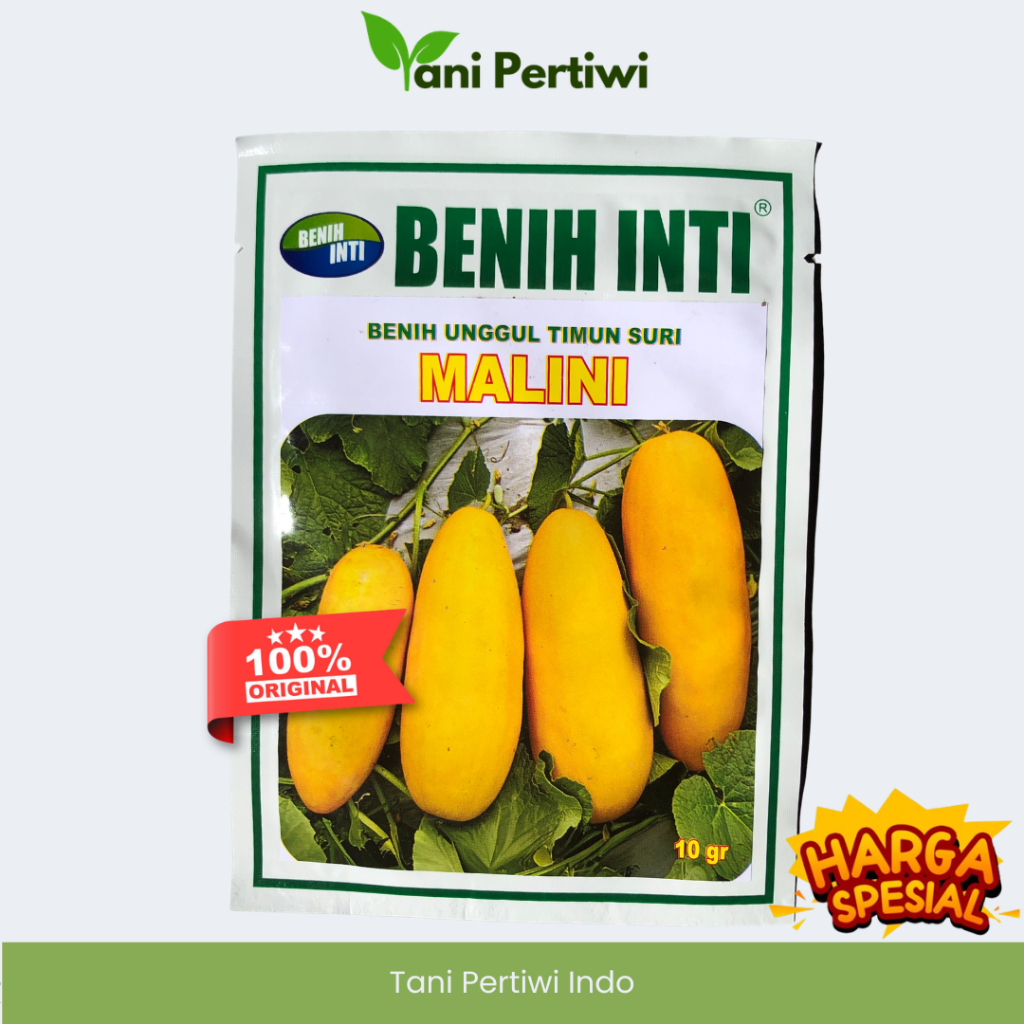 Benih Timun Suri Malini 10 gram benih inti original