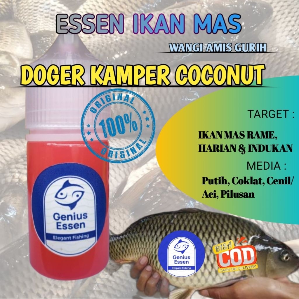Essen Ikan Mas Doger kamper Essen Ikan Mas Essen Ikan Mas Babon Essen Ikan Mas Galapungan Essen Ikan
