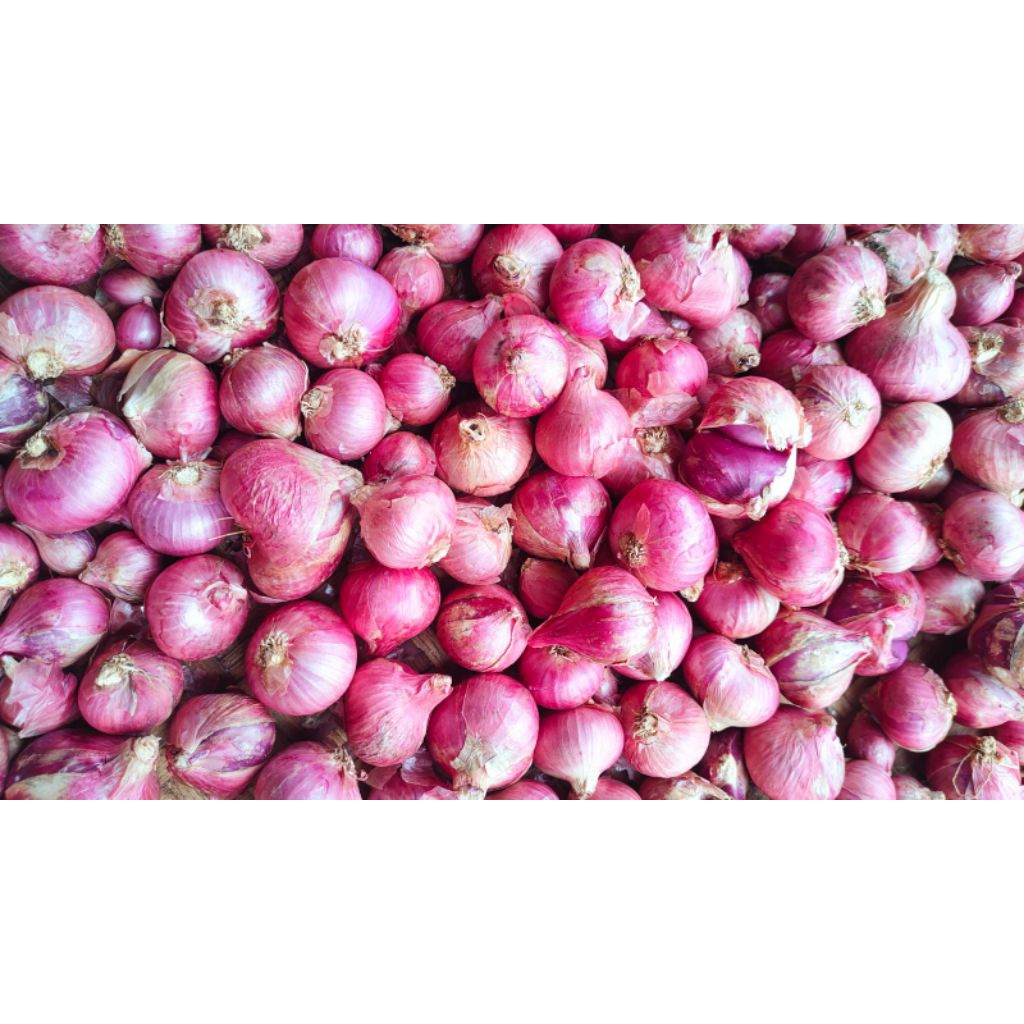 bawang merah campur / bawang merah / bawang merah lokal / bawang merah campur kecil sedang dan besar