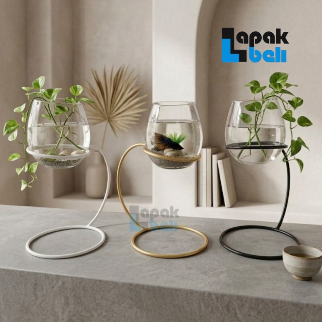 Akuarium Aquarium Mini Cupang dan Asesoris full set / Bisa untuk aquascape ( COD BAYAR DITEMPAT )