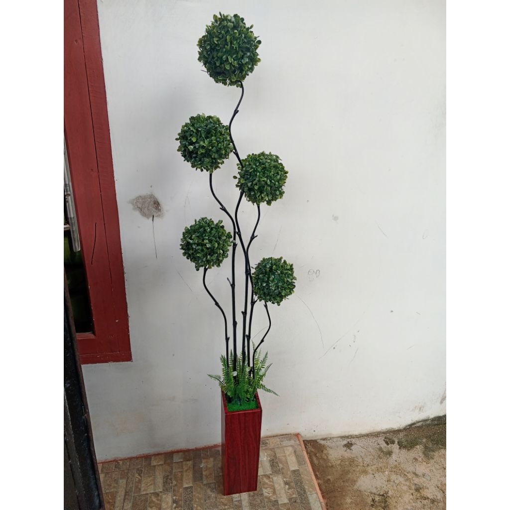Bonsai bola besar Topiary Ball Bunga Sudut include Pot Kayu