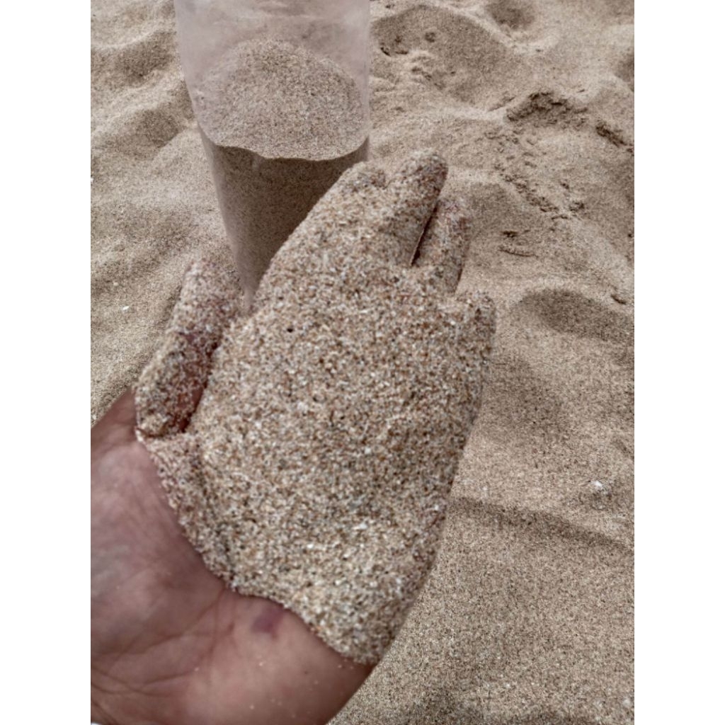 Pasir pantai asli bahan aquarium/diorama mini