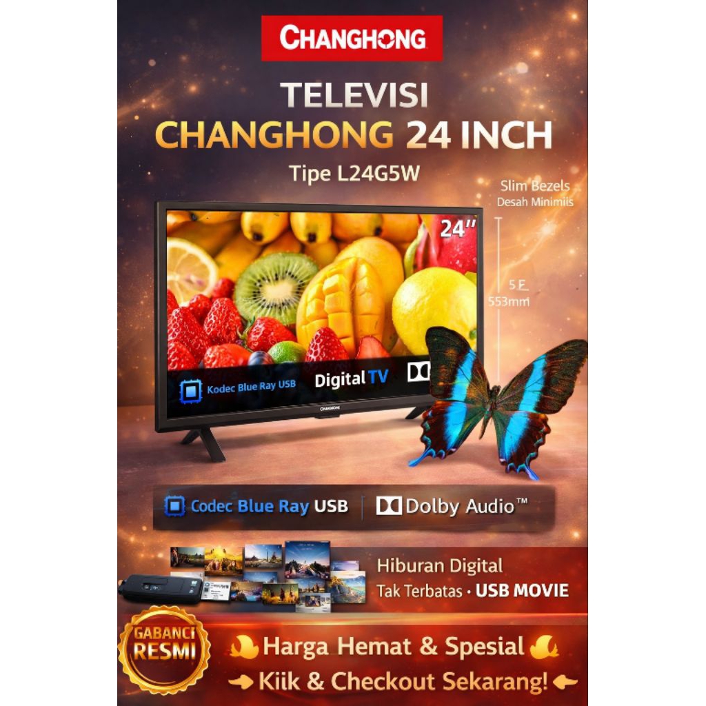 televisi LED Changhong 24 inch Digital