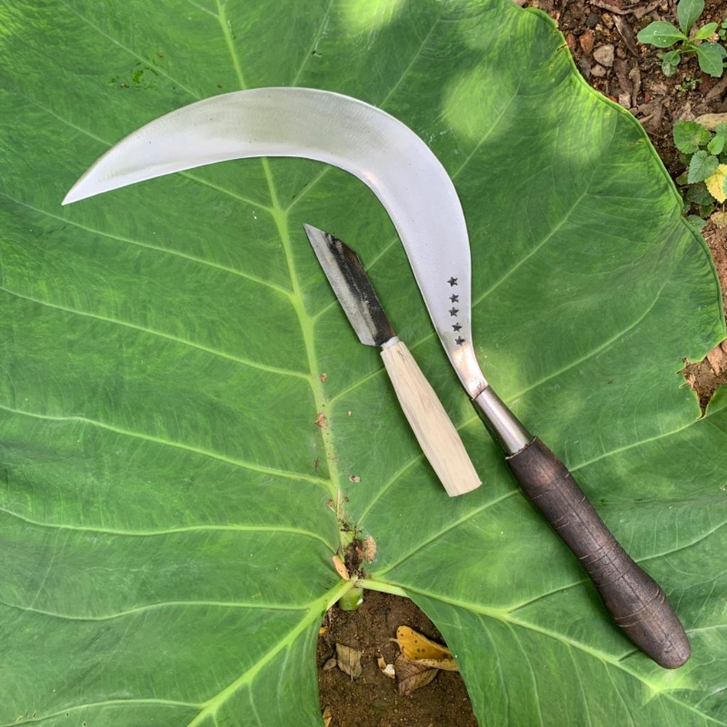 sabit rumput asli Madura original cap bintang lima