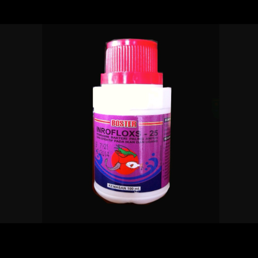 Inroflox 25 100 ml