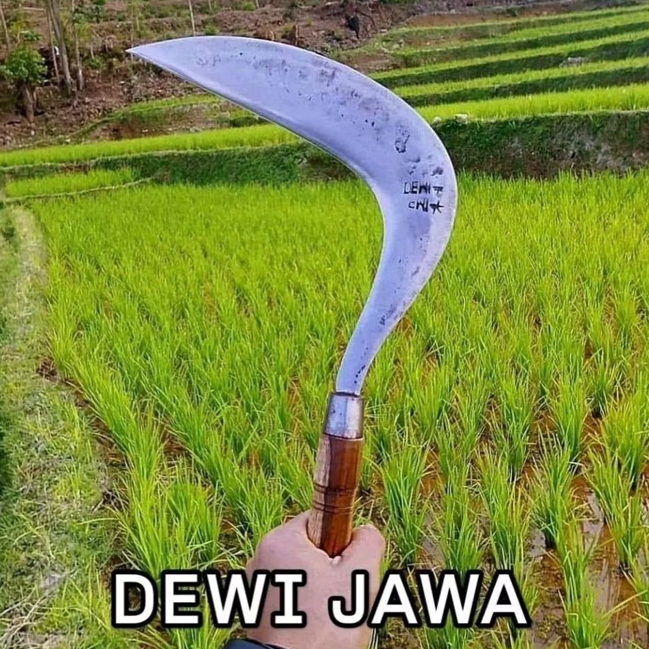 Arit Rumput Baja Per Dewi Bintang Model Jawa | Gagang Sonokeling | Tajam Siap Pakai | Arit Rumput Pe