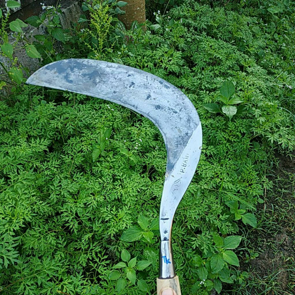 SABIT RUMPUT CAP MATA BAJA ISEN UKURAN TANGGUNG KECIL UNTUK RUMPUT DAN RAMBAN