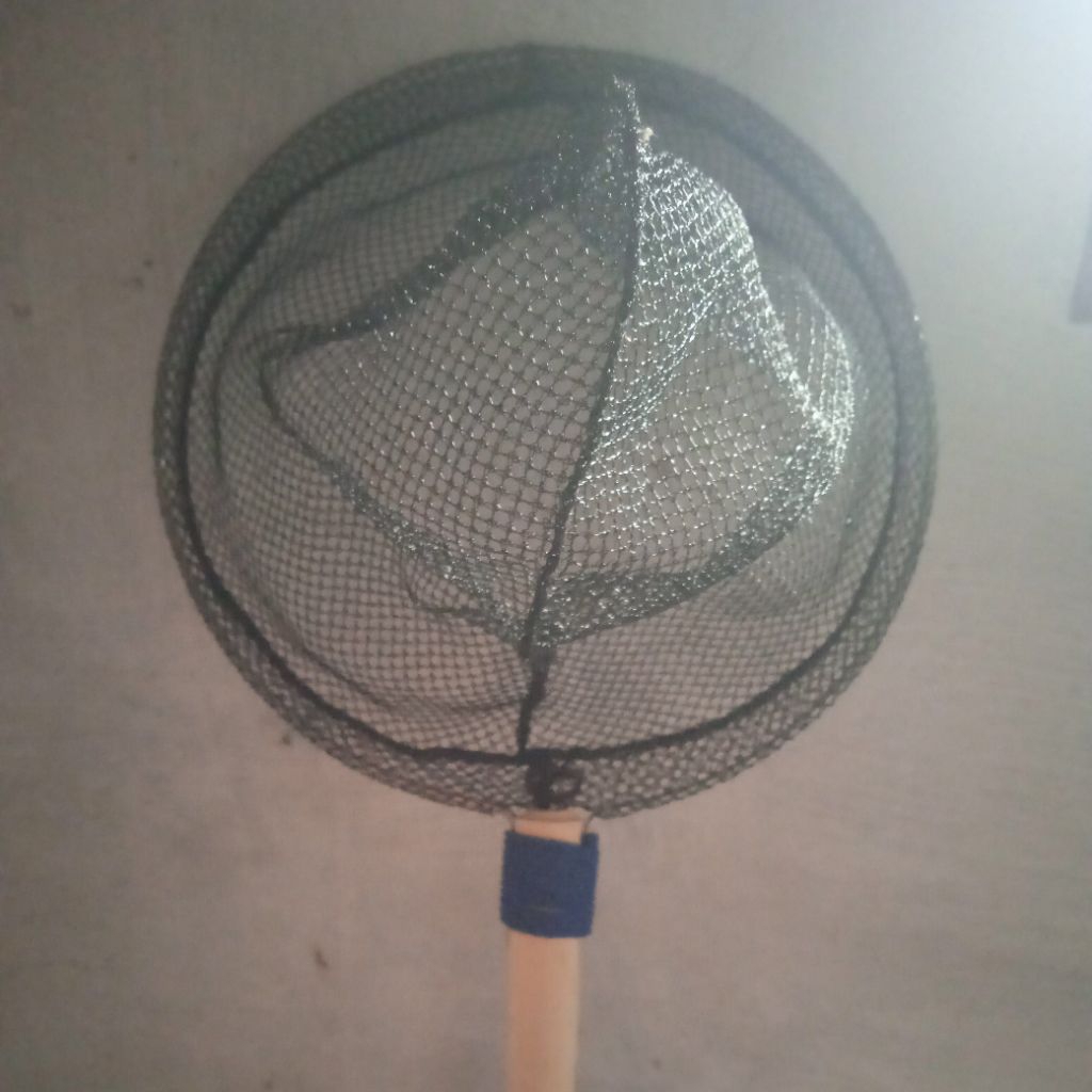 serokan ikan bulat