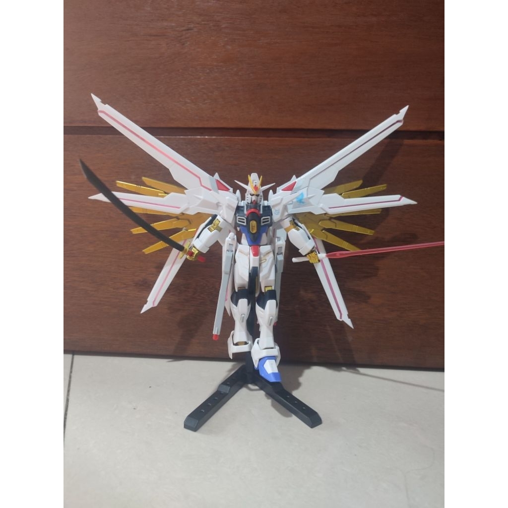 HG XFS Mighty strike freedom 1/144 junk