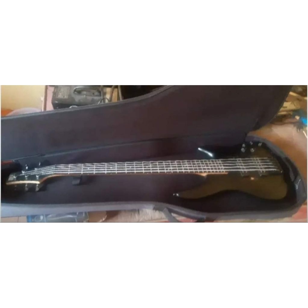 Ibanez SR305E