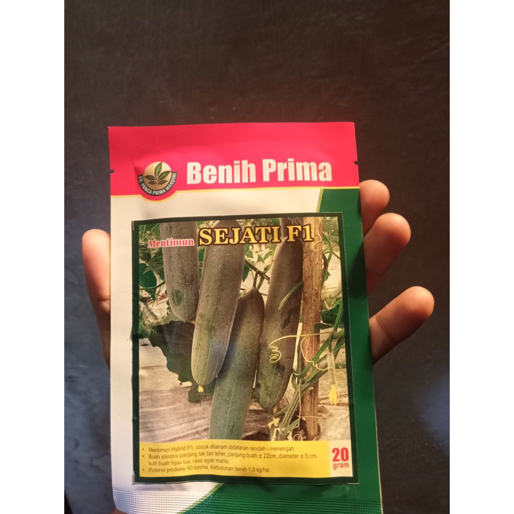 timun TIMUN SEJATI F1