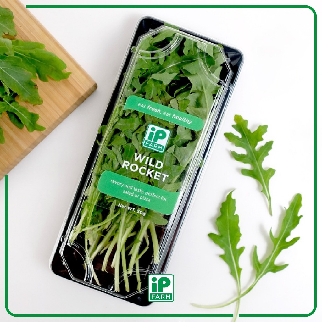 IP Farm Fresh Wild Rocket 50gr | Sayur Segar