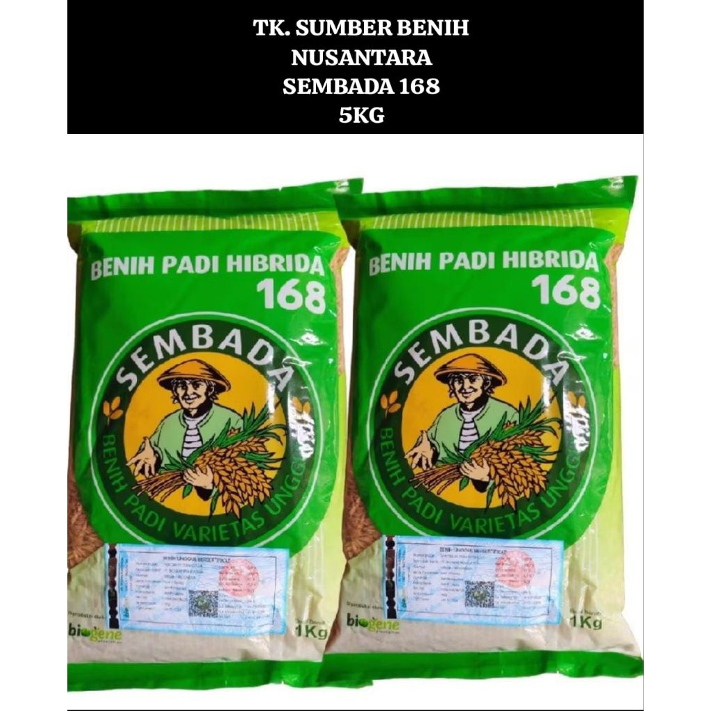 Sembada Benih Padi Hibrida 168 Varietas Unggulan 5Kg untuk Hasil Panen Optimal dengan Akar Lebat Bat