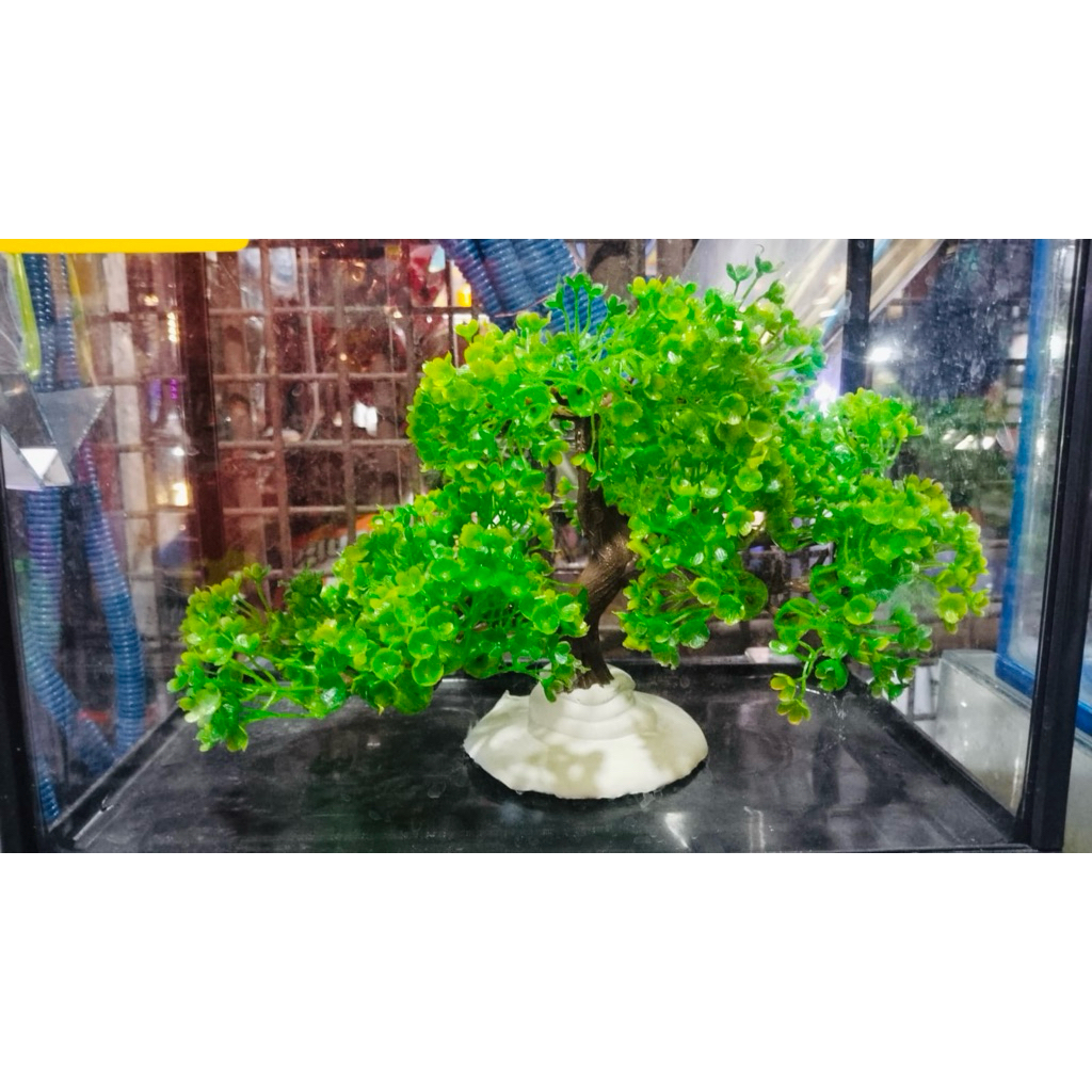 Bonsai Hias Aquascape / Bonsai Hias Aquarium / Pohon Hias Aquarium