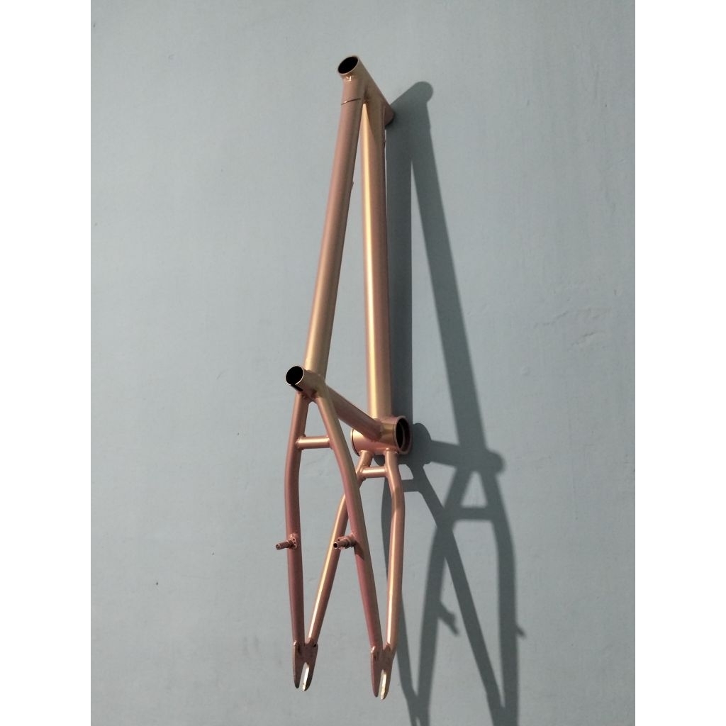 frame bmx custom