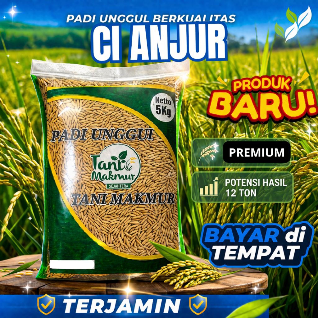 BENIH PADI UNGGUL CIANJUR BERKUALITAS ORIGINAL 5KG
