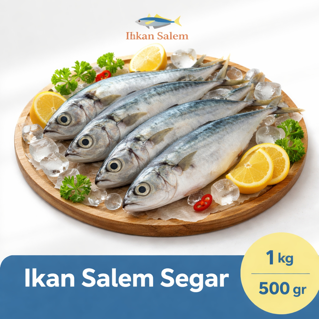 Ikan Salem Utuh Frozen Jakarta 500gr & 1kg Fresh Beku