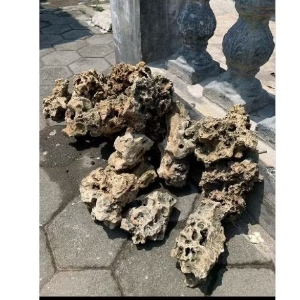 batu karang gunung untuk aquascape atau untuk bonsai