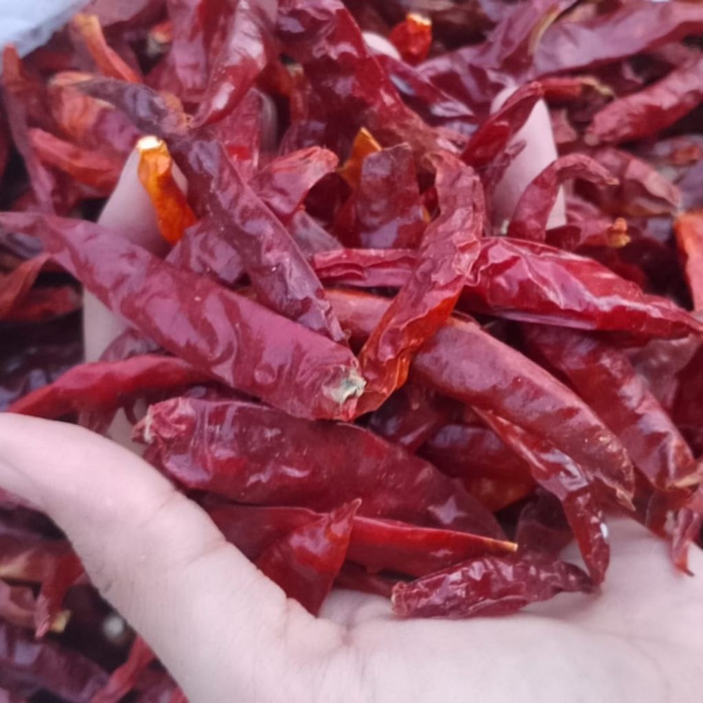 100GR / 1 ONS CABAI MERAH KERING / CABE TEJA UNTUK MASAK