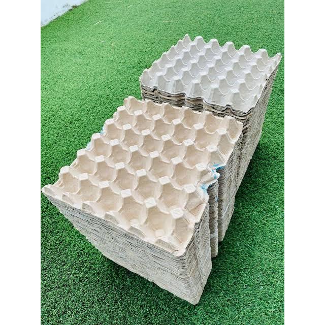 Egg Tray Karton 30 Butir – Tempat Telur Ayam/Bebek Bekas Pakai