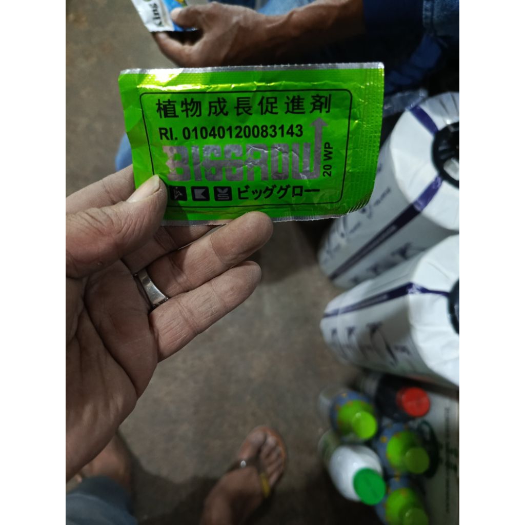Big Grow 5 Gr ZPT Pembesar Buah Asam Giberlin