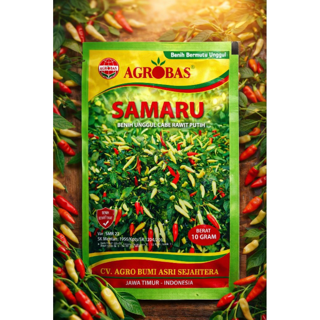 Cabe rawit benih unggul