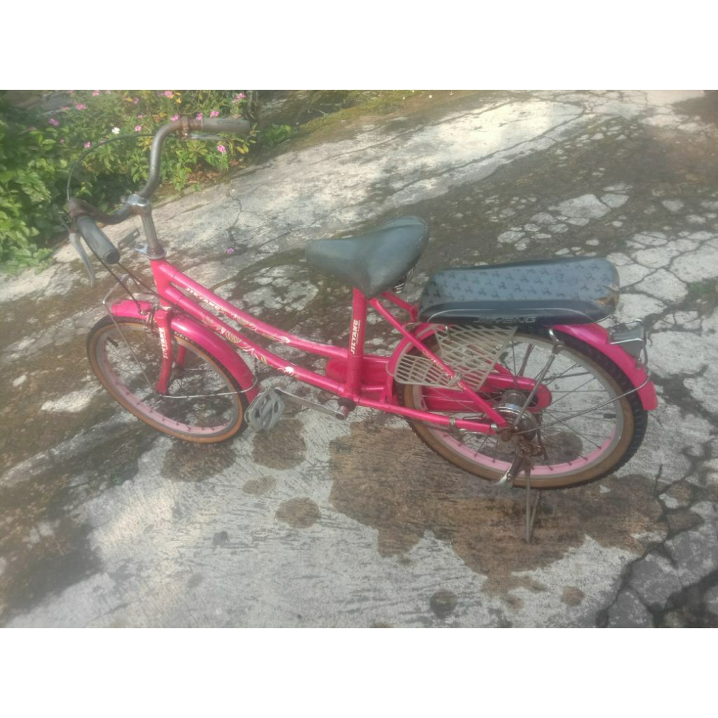 [JUAL MURAH] Sepeda Anak Perempuan Jieyang Ring 20 (20 Inch) bekas / second